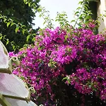 ホテル Le Ponteil